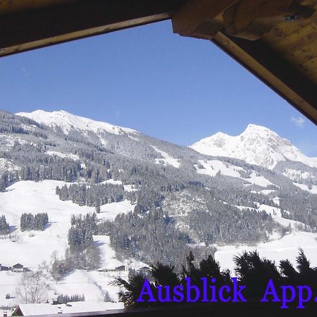 דורפגשטיין Gaestehaus Alpina מראה חיצוני תמונה